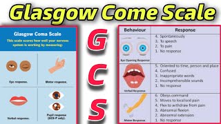 GCS  Understanding Glasgow Coma Scale A Comprehensive Guidequot  Tutor Hanif khan [upl. by Draner296]