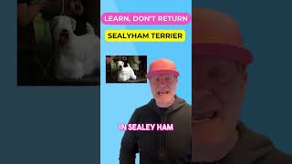 The Origin Story of the Sealyham Terrier petzpaws learndontreturn sealyhamterrier dogbreed dog [upl. by Norred92]