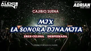 Mix La Sonora Dinamita ✖️ Eres Celosa ✖️ Despeinada ✖️ Dj Alexis Ft Dj Adrian [upl. by Seni167]