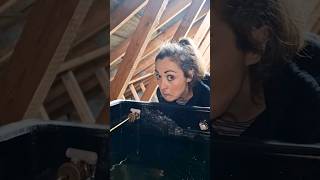 Fixing MORE LEAKS in our doomed attic abandonedfarmhouse [upl. by Jak]