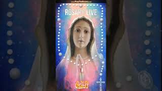 Impromptu IN YOUR FACE reflections on LIFE during Rosary LIVE on National Sanctity Of Human Life Day [upl. by Kolnick147]