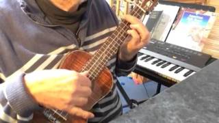 Adagio in G minor  Albinoni  solo ukulele  Arranged by Colin Tribe [upl. by Merrilee]