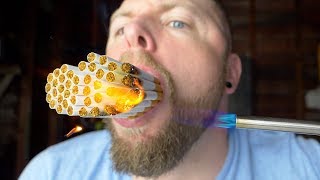 This Youtuber Loves Cigarettes More Than Anyone [upl. by Eyssej187]