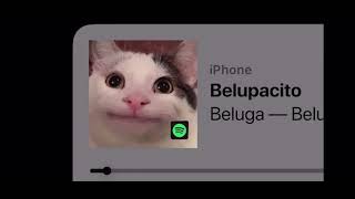 Belupacito but 2x speed and 1 hour [upl. by Fitting117]