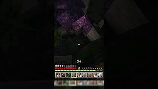 Mining into a geode gaming minecraftgameplay amethystgeodeminecraft thealatersmp cozygaming [upl. by Mackoff957]