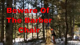 Dangerous Tree Felling  Barber Chair [upl. by Eednarb]