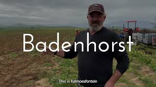 Adi Badenhorst Planting a Variety of Grapes [upl. by Tremaine]