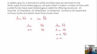 Chi Square Test and Genetics Problems [upl. by Aelyak]