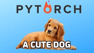 How to build custom Datasets for Text in Pytorch [upl. by Aneret]