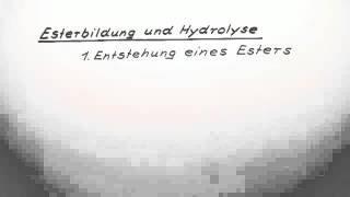 Esterbildung und Hydrolyse  Chemie  Organische Chemie [upl. by Eilama332]