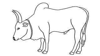 How to draw Kangayam bull outline drawing  pongal jallikattu drawing easy  jallikattu drawing [upl. by Hock]