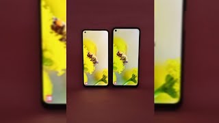 LCD Vs AMOLED Display Video Quality Shorts [upl. by Dolli163]