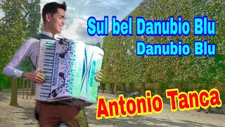 Sul bel danubio blu MIX  Valzer Viennese  musica MTopo esegue Antonio Tanca [upl. by Mcmillan]