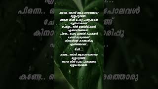 Kande njan akashathoru lyrics  Ones up time in kochi [upl. by Ahsiekel564]