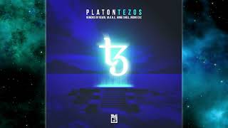 Platon RU  Tezos SLC6 Music [upl. by Burtis]