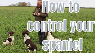 Do You Struggle To Keep Your Spaniel Under Control Watch This [upl. by Castor]