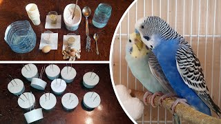 HOW TO MAKE MINERAL CALCIUM BLOCK FOR ALL PARROTS [upl. by Asaph]