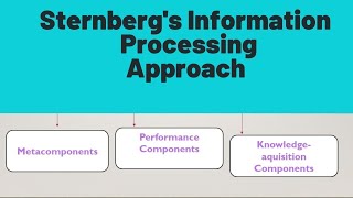 Sternbergs Information processing Approach [upl. by Olympe]