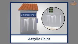 How to Deal with Efflorescence by ROXSiL Breathable Paint [upl. by Adehsar348]