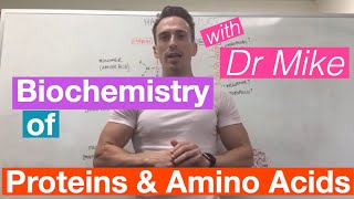 Proteins amp Amino Acids  Biochemistry [upl. by Enytsirhc]