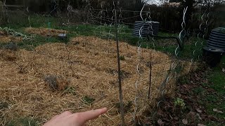 NOS DIFFÉRENTES ZONES DU POTAGER 🌱 INNONDÉ ET PAILLÉ [upl. by Taub]