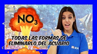 Nitratos en el acuario Como eliminarlos o reducirlos [upl. by Chevalier]