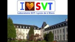 Lycée de lElorn Terminale Scientifique SVT Spécialité SVT Hervé Kempf [upl. by Yessac62]