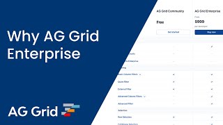 Why AG Grid Enterprise [upl. by Broderic]