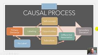 Labeling Theory [upl. by Ayerim]