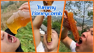 ABS Honey BEE  Best HoneyComb Eating ASMR  Eating Videos🎖️9 [upl. by Sera499]