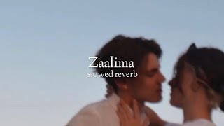 Zaalima  slowed  reverb [upl. by Ytsirk]