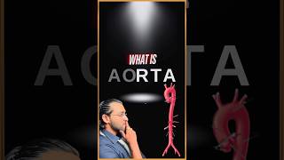 What is Aorta [upl. by Arec]