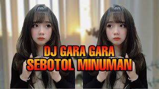 DJ SEBOTOL MINUMAN  TIKTOK VIRAL  DJ TERBARU  DJ CAMPURAN [upl. by Ytisahc]