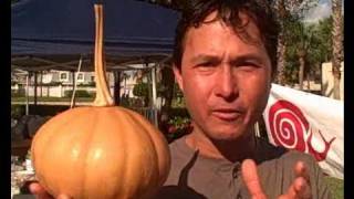 Rare Heirloom Perennial Native American Hanging Pumpkin Stores Up to a Year [upl. by Ashmead]