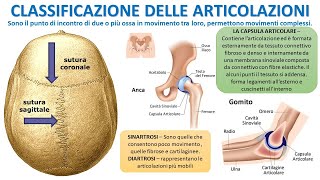 CLASSIFICAZIONE DELLE ARTICOLAZIONI [upl. by Ardiedak557]