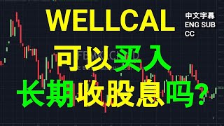 WELLCAL WELLCALL  可以买入长期收股息吗CC 中英文字幕 ENG SUB午盘筹码峰技术分析07082023 [upl. by Ajnot]