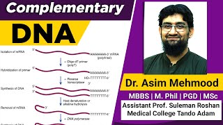 Complementary DNA  Hindi  Urdu [upl. by Goddord]