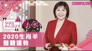 【2020鼠年運程】屬羊注意🐑 麥玲玲預測生肖羊整體桃花運、事業運、財運｜Cosmopolitan HK [upl. by Oiluarb]