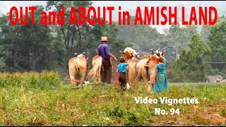 Whats Happening in LANCASTER Countys AMISH LANDOUT and ABOUT Video Vignettes No 94 [upl. by Anawot]