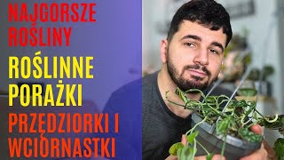 Roślinne porażki 😵 TOP 5 najgorszych roślin🪴 Pierwsze WCIORNASTKI i PRZĘDZIORKI [upl. by Hplodur81]