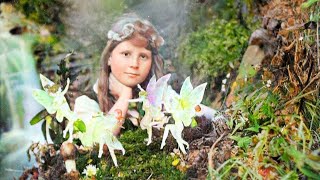 Cottingley Fairies A Historical Photo Gallery COLOURISED [upl. by Ennagroeg]