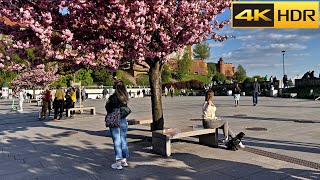 🇵🇱 Poland Spring Walk  Krakow Walking Tour  European Bloom 🌸 4K HDR [upl. by Manoff]