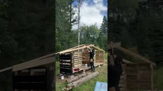 Shed made from Pallet Wood shorts shorts [upl. by Nylaehs]