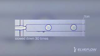 Droplet Generation  Microfluidics [upl. by Doowrehs]