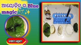 Presence of Starch in potatoLeaf rice water through Iodine test Class 10 experimentsNutrition [upl. by Dang514]