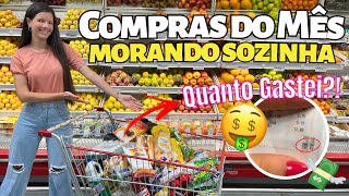 COMPRAS DO MÊS MORANDO SOZINHA ASSAÍ ATACADISTA 🛒❤️  QUANTO GASTEI 🤑 [upl. by Maje957]