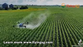 Why Add a FlyingAg DJI T40 Sprayer Drone to Your Farm in 2024 Farmer Insights on his decision [upl. by Lleon925]