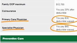 The Real Costs of a Healthcare Plan [upl. by Mckay305]