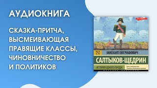 Аудиокнига  Михаил Евграфович СалтыковЩедрин «История одного города» [upl. by Rendrag]