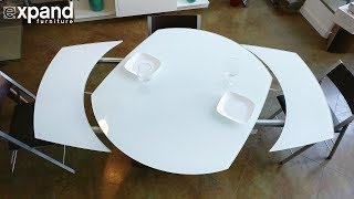 Baobab round white glass extendable kitchen table on wood base [upl. by Yelah]